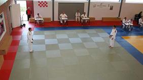 Judo bij Vereniging Judo Ryu Rijkse