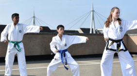 Stichting Taekwon-do Academie Namu Kwan