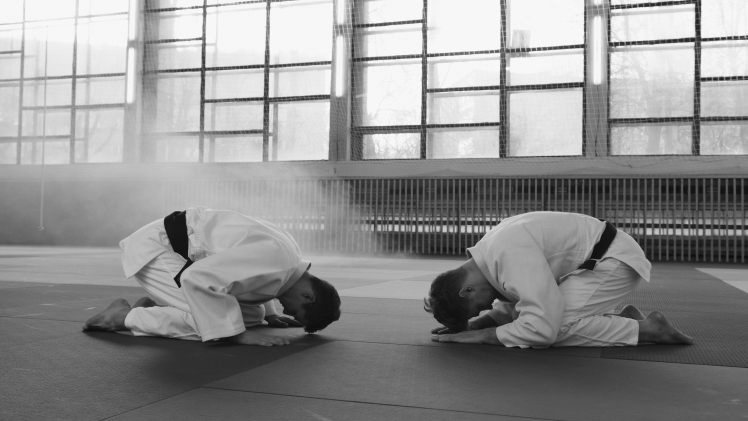 Aikido vereniging Domstad