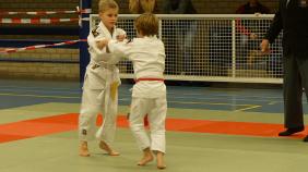 Judo vereniging Judokan Maartensdijk
